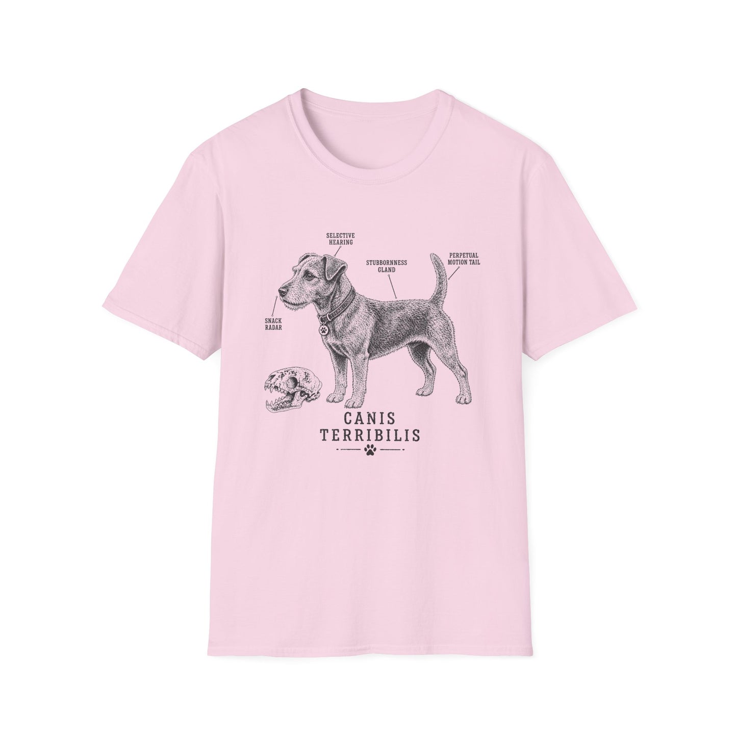 Anatomy Of A Patterdale Terrier Tee