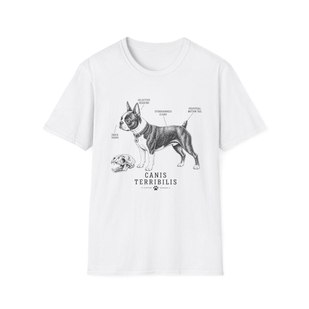 Anatomy Of A Boston Terrier Tee - White