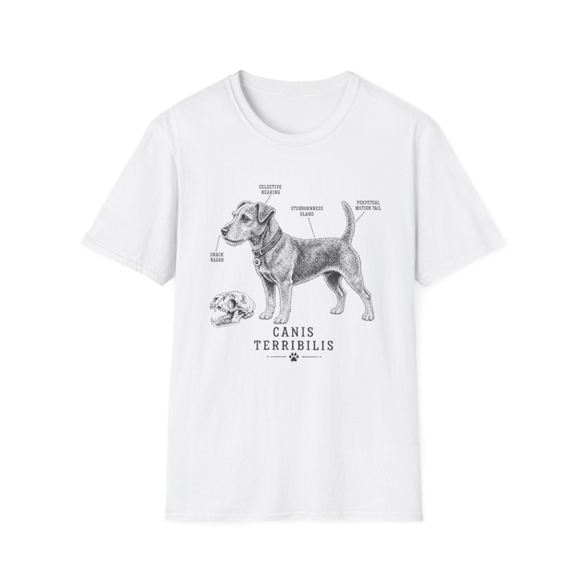 Anatomy Of A Patterdale Terrier Tee - White